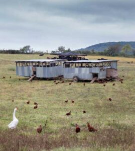 Salatin Family Models Non-Industrial Farming Image